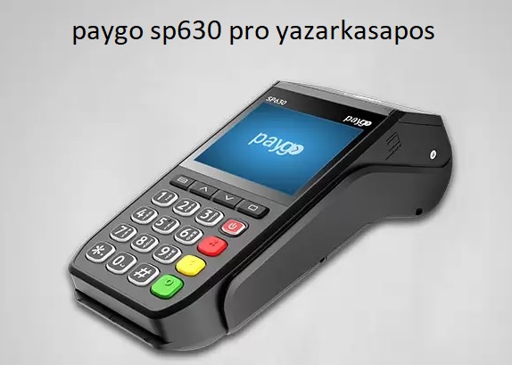 paygo1